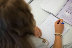 Elev som skriv i ei bok. Foto: Reed foto